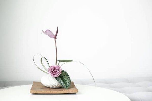 Découvrir l'Harmonie Éphémère : L'Art Floral Japonais Ikebana