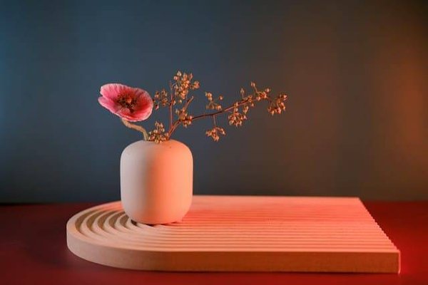 L'art de l'Ikebana: Une Approche Inspirante du Design Floral Japonais